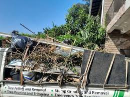 Best Shed Removal  in Washburn, WI