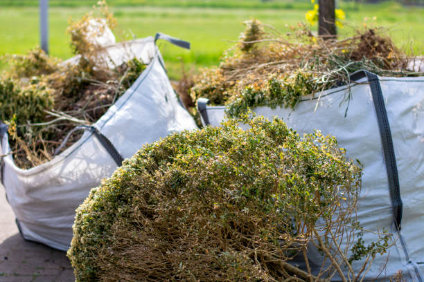 Demolition Debris Removal in Washburn, WI